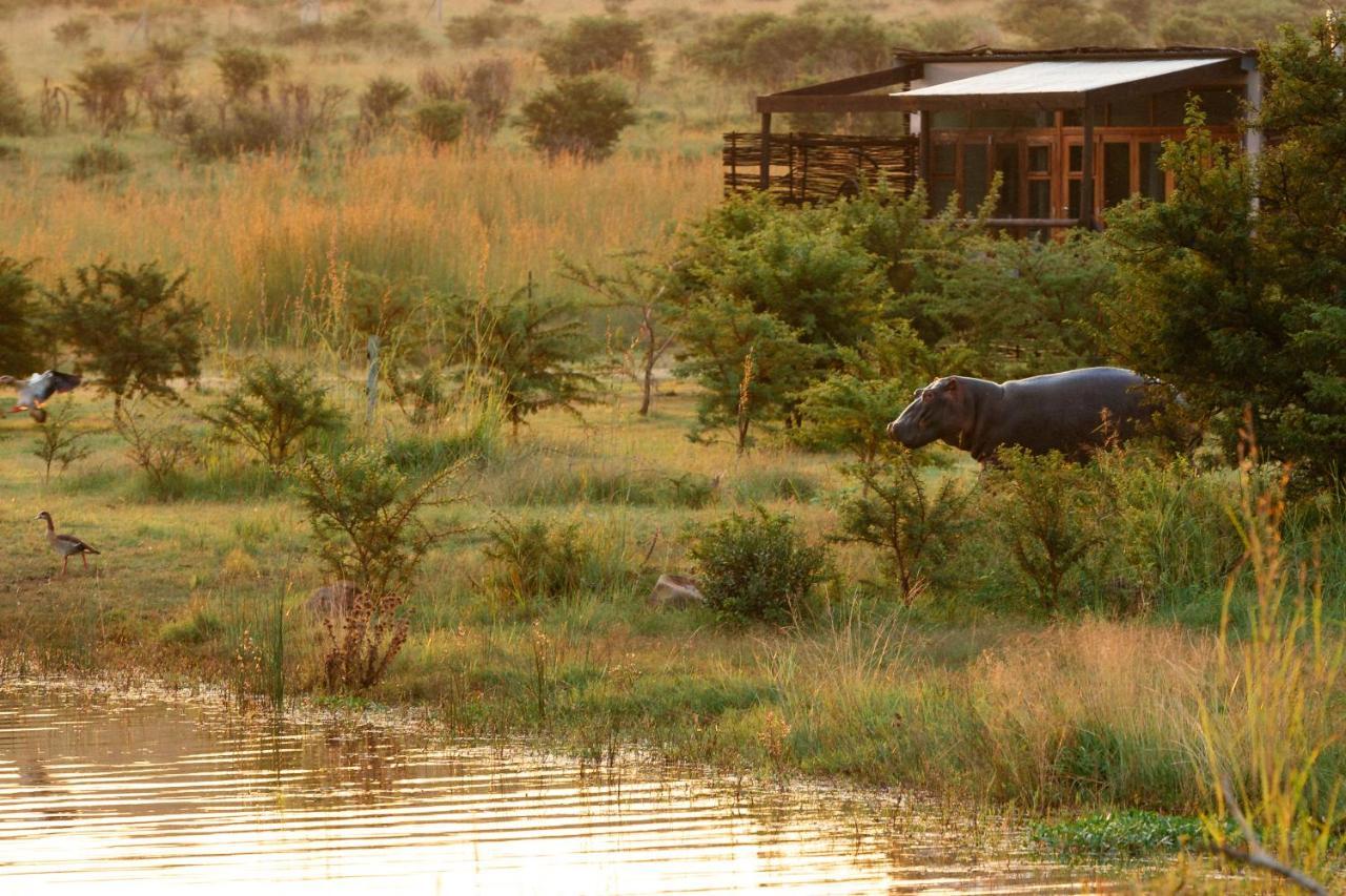 Cheetah Ridge Lodge Ladysmith Exterior photo